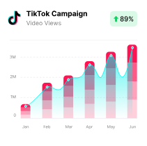TikTok campaign video views chart up 89%